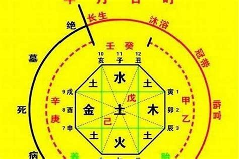 喜水的行业|八字喜水干什么行业 (八字喜水的人适合在哪里发展)